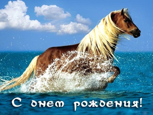 Поздравление